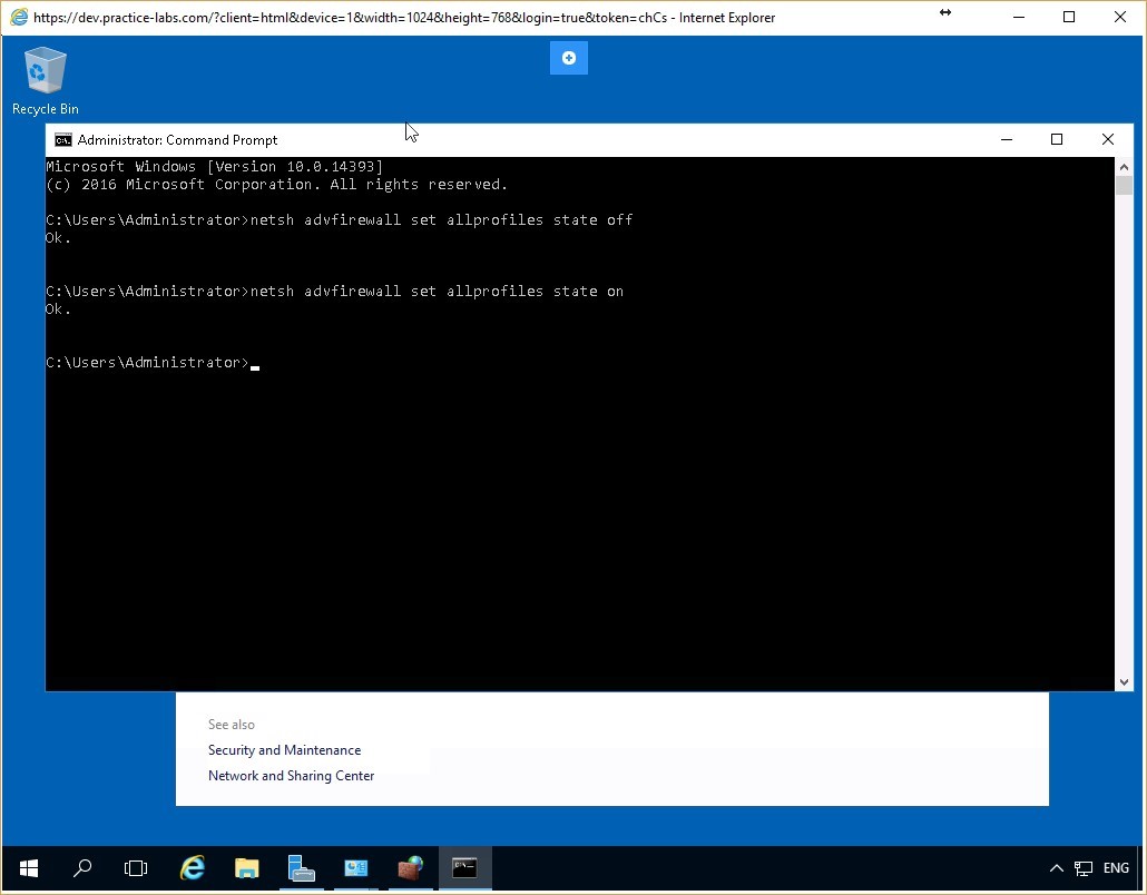 Figure 4.14 Screenshot of the PLABDC01 desktop